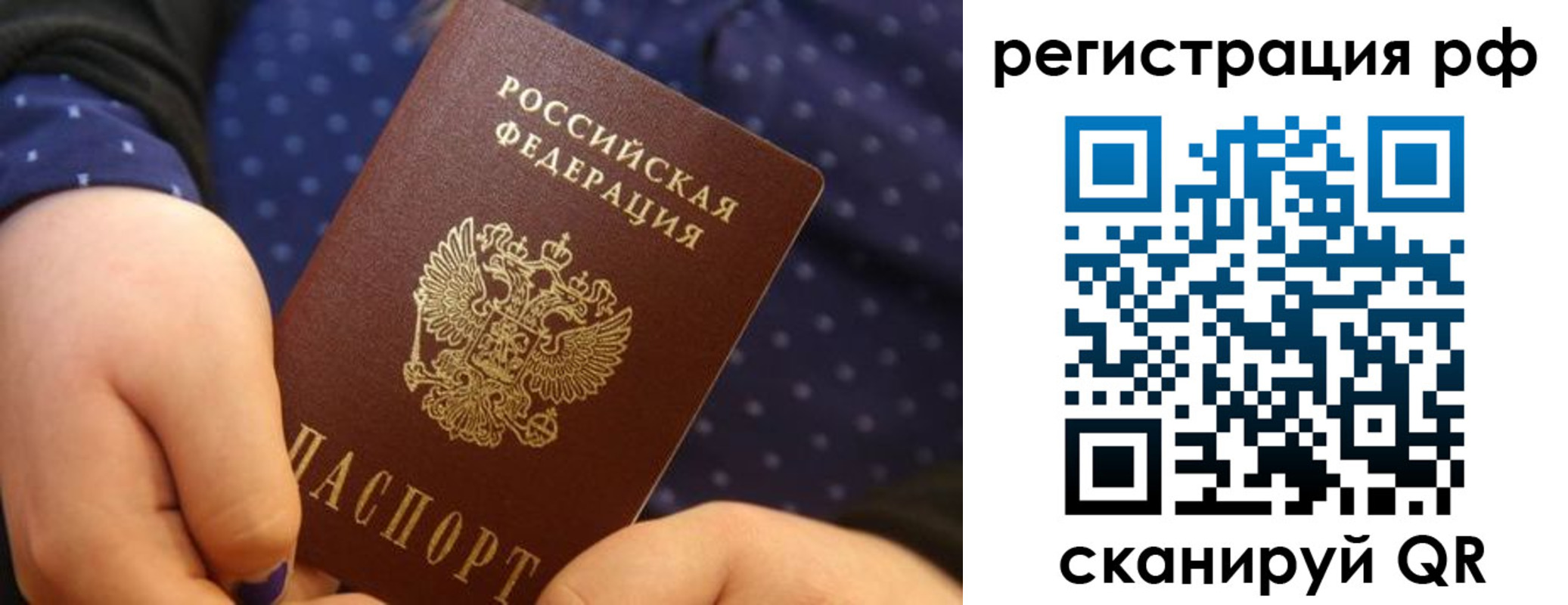 временная регистрация поиск в Долгопрудном